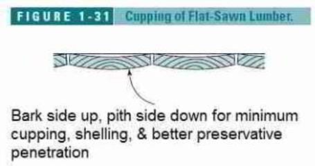Figure 1-31: Cupping of flat sawn lumber (C) Wiley and Sons, S Bliss