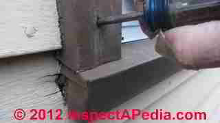 Wall leak investigation, diagnosis, cure (C) Steven Bliss Daniel Friedman