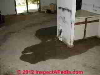 Flooded cabinets and drywall partitions (C) Daniel Friedman