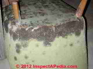 Flood damaged upholstered chair with severe mold contamination (C) Daniel Friedman\
