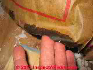 Wet insulation (C) Daniel Friedman