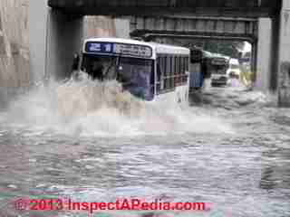 Flooding in Comonfort, Guanajuato, Mexico (C) 2009 Daniel Friedman