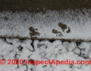 Squirrel tracks around an Ontario manufactured home - pest problem (C) InspectApedia.com LZ