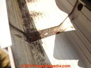 Roof shingle debris in a Houston TX gutter - does this material include micrometeorites? (C) InspectApedia.com  SR
