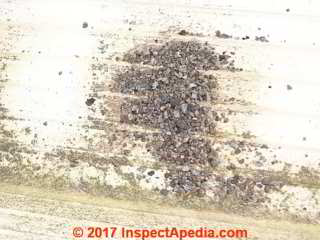 Roof shingle debris in a Houston TX gutter - does this material include micrometeorites? (C) InspectApedia.com  SR