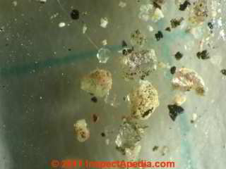 Mineral granules from a Texas roof (C) Daniel Friedman InspectApedia.com