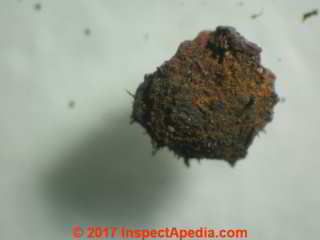 Round sphere of iron rust from rooftop metal object (C) Daniel Friedman