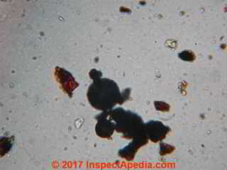 Spherical particles mixed in roof debris from a Houston TX home (C) Daniel Friedman at InspectApedia.com