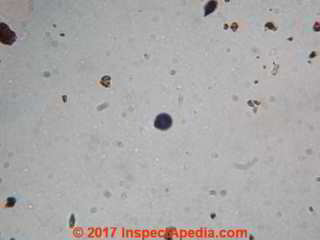 Small spherical particle from Houston roof selected for closer examination vs micrometeorites (C) Daniel Friedman at InspectApedia.com