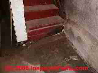 Rotted basement stair (C) Daniel Friedman