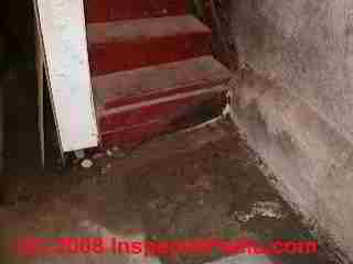 Rotted basement stair (C) Daniel Friedman