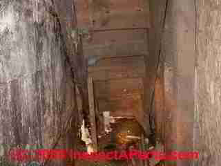 Rotting stair structure from behind (C) Daniel Friedman