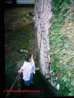 Cat ramp from a third floor apartment to the fire stairs (C) D Friedman