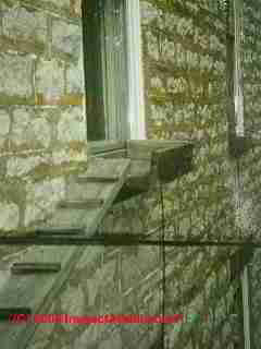 Cat stairway from a second floor to a fire escape(C) Daniel Friedman
