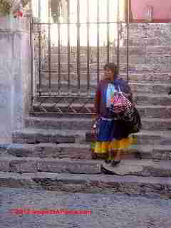 Broken stone steps, irregular, no rails (C) D Friedman