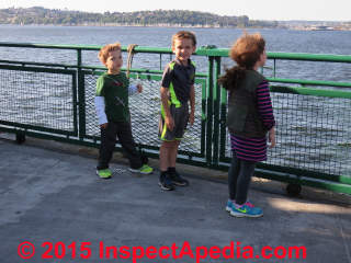 Child safe guardrail on a Seattle Ferry (C) Daniel Friedman