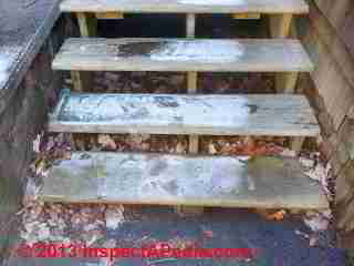 Icy wooden stair treads (C) 2013 Daniel Friedman Paul Galow