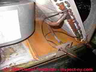 Photograph of air conditioner condensate overflow inside of an air handler