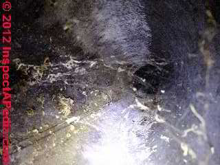 Water and rodents in air duct (C) D Friedman
