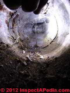 Water and rodents in air duct (C) D Friedman