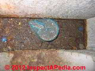 Water and rodents in air duct (C) D Friedman