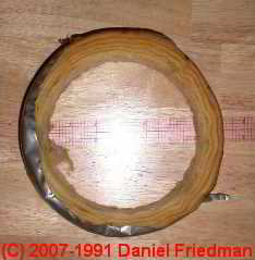 Photo of  