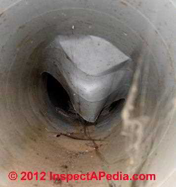Water and rodents in air duct (C) D Friedman