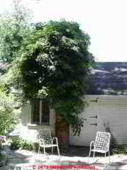Chimney with no footing (C) Daniel Friedman