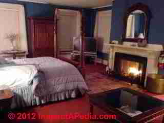 Fireplace with screen (C) D Friedman