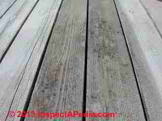 Deck board gaps on a well-drained older wood deck surface (C) Daniel Friedman