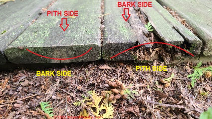 Rotted on-ground deck board, bark side "down" (C) Daniel Friedman at InspectApedia.com