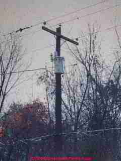 Electrical power transformer on a utility pole in the U.S.  (C) Daniel Friedman