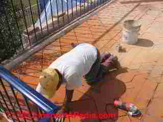 Mexican clay tiles (C) Daniel Friedman