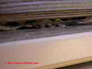 Photograph of EIFS synthetic stucco exterior (C) Daniel Friedman
