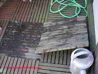 Rooftop deck panels lift for cleaning (C) Daniel Friedman