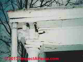 Winter conditions make tracing water leaks & rot easy (C) Daniel Friedman