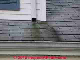 Gutter spills on roof (C) Daniel Friedman