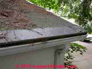 Gutter cap or helmet (C) D Friedman