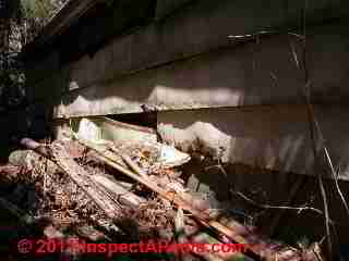 Deteriorated hardboard siding (C) D Friedman