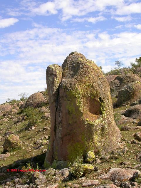 cabras