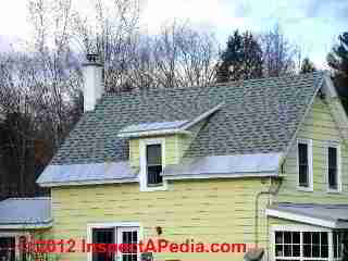 Roof eaves treatment to avoid gutter problems (C) D Friedman