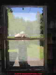 Exterior Storm Window Installation  (C) Daniel Friedman Paul Galow