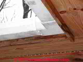 Plastic gutters (C) Daniel Friedman