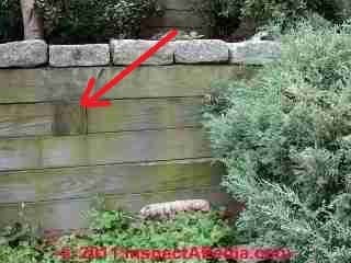 Wooden landscape tie retaining wall (C) D Friedman