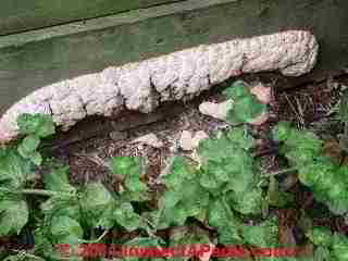 Wooden landscape tie retaining wall (C) D Friedman