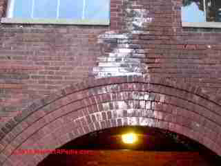 White deposits on brick walls effloresence (C) Daniel Friedman