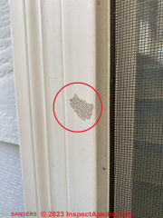Insect egg cluster on building exterior trim (C) InspectApedia.com Sanders