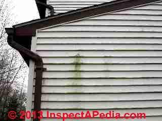 Damaged vinyl siding (C) Daniel Friedman