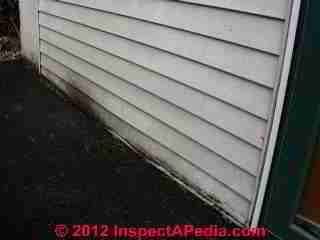 Buckled Vinyl siding at ground - termite damage (C) Daniel Friedman