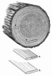 Wood edge or straight grain vs flat grain - U.S. FPL